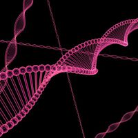 DNA aus sterbenden Zellen könnte bald Leben retten