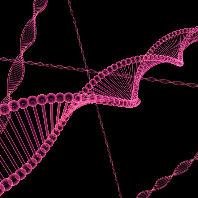 DNA aus sterbenden Zellen könnte bald Leben retten