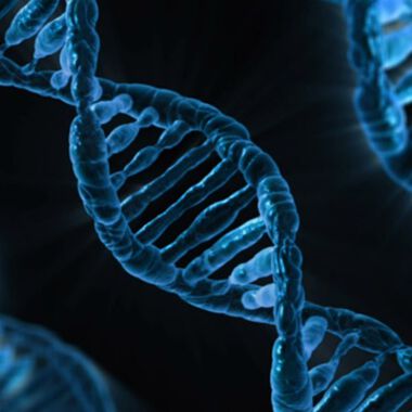 Spezielles Gen im Tumor beeinflusst die Wirksamkeit der Krebsbehandlung