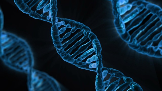Spezielles Gen im Tumor beeinflusst die Wirksamkeit der Krebsbehandlung