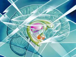 Auch scheinbar gesundes Gehirngewebe spielt bei Epilepsie eine Rolle
