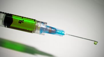Zika-Impfstoff in Rekordzeit entwickelt