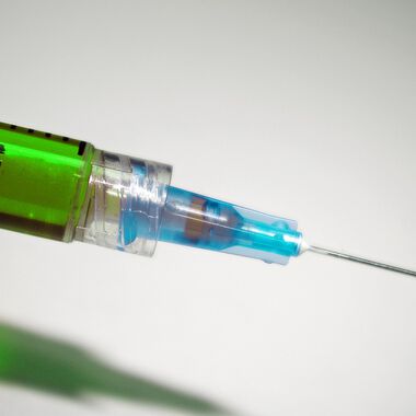 Zika-Impfstoff in Rekordzeit entwickelt