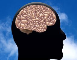 Antithrombozytäre Therapie hilft gegen Alzheimer