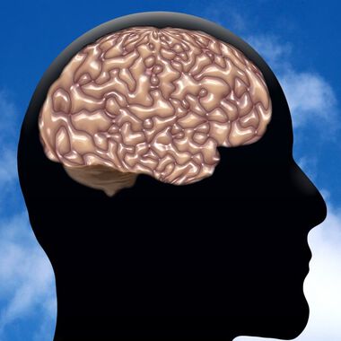 Antithrombozytäre Therapie hilft gegen Alzheimer