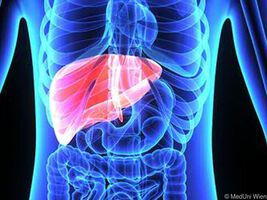 Wird Hepatitis C geheilt, schwindet auch die Portale Hypertonie