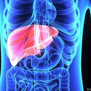 Wird Hepatitis C geheilt, schwindet auch die Portale Hypertonie