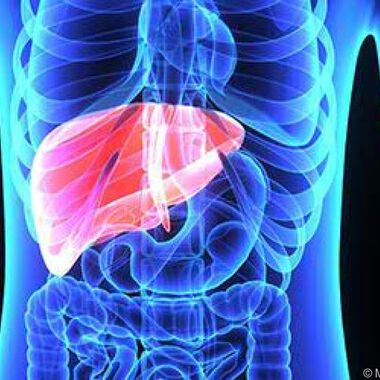 Wird Hepatitis C geheilt, schwindet auch die Portale Hypertonie