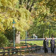 Nur 30 Minuten im Park wöchentlich schützen vor Bluthochdruck oder psychischen Problemen
