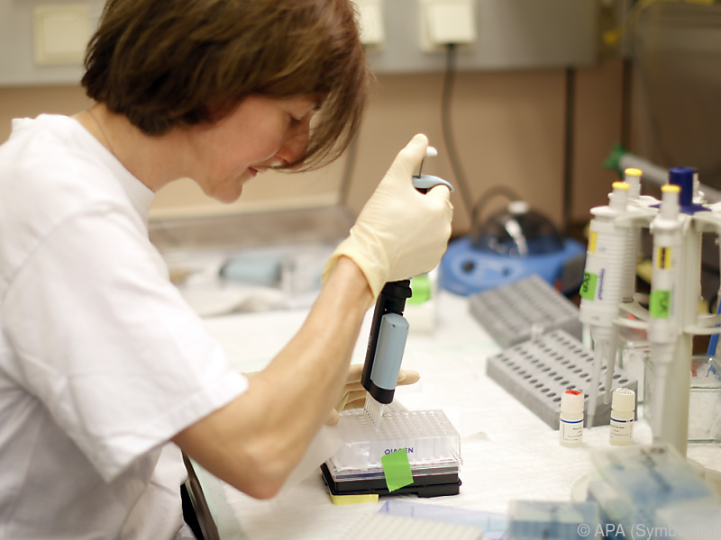 Wichtige Erkenntnisse über Anpassungsfähigkeit von Helicobacter pylori