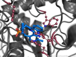 Neue Enzyme für umweltfreundlichere Herstellung von Medikamenten