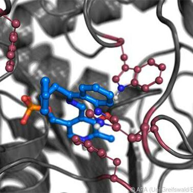 Neue Enzyme für umweltfreundlichere Herstellung von Medikamenten