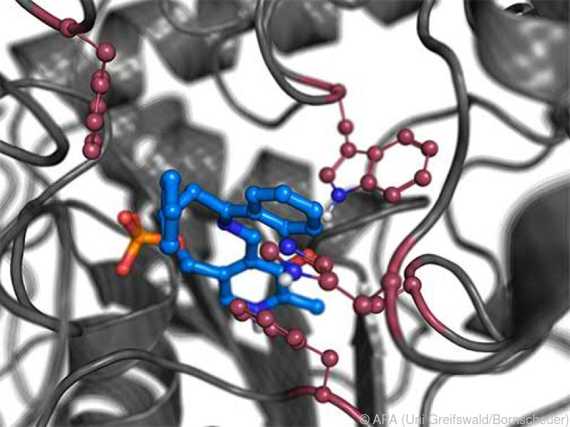 Neue Enzyme für umweltfreundlichere Herstellung von Medikamenten