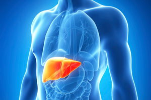 Hepatitis bleibt oft lange unentdeckt, Varianten B und C sind tückischer