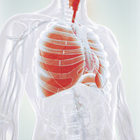 COPD ist oft die Folge von chronischem Bronchitis, Asthma bronchiale und Emphysem