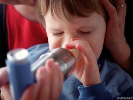 Das Protein Adam33 ist an der Entstehung von Asthma beteiligt