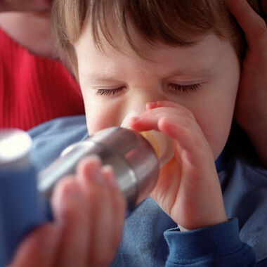 Das Protein Adam33 ist an der Entstehung von Asthma beteiligt