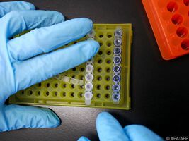 Neue Tumor-Marker auf den Weg gebracht
