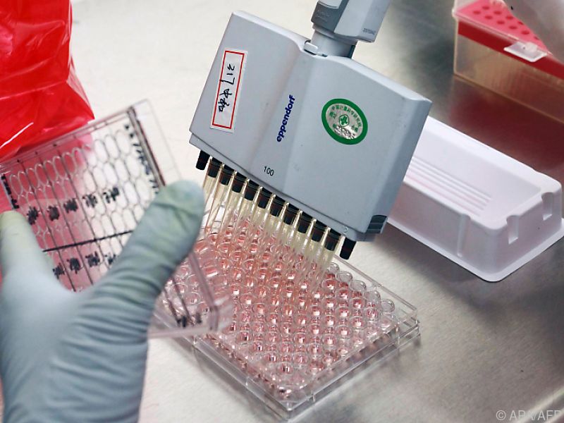 Drei neue Gene für angeborene Herzfehler identifiziert