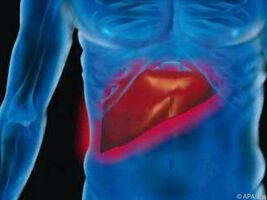 Das eigene Immunsystem kann zur Entstehung von Leberkrebs beitragen