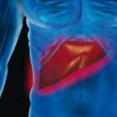 Das eigene Immunsystem kann zur Entstehung von Leberkrebs beitragen