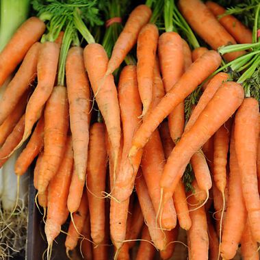 Proteinarme Diät erhöht den Metabolismus
