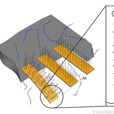 Nanosensoren helfen für rasche Diagnose des malignen Melanoms