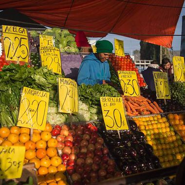 Pflanzenkost verhindert chronische Entzündungen bei Übergewicht