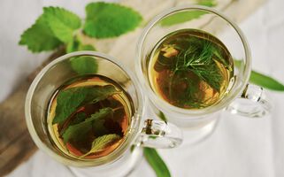 Phytotherapie: Heilkräfte der Natur gegen Erkältungen