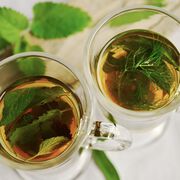 Phytotherapie: Heilkräfte der Natur gegen Erkältungen