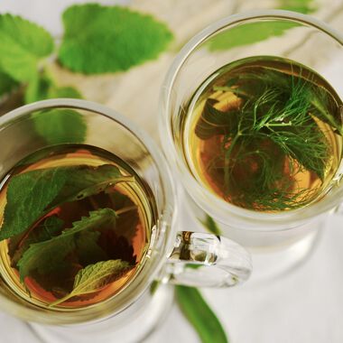 Phytotherapie: Heilkräfte der Natur gegen Erkältungen