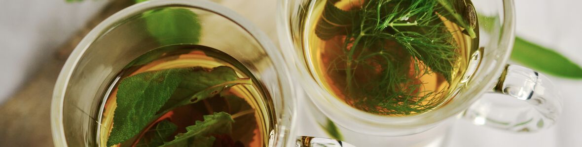 Phytotherapie: Heilkräfte der Natur gegen Erkältungen