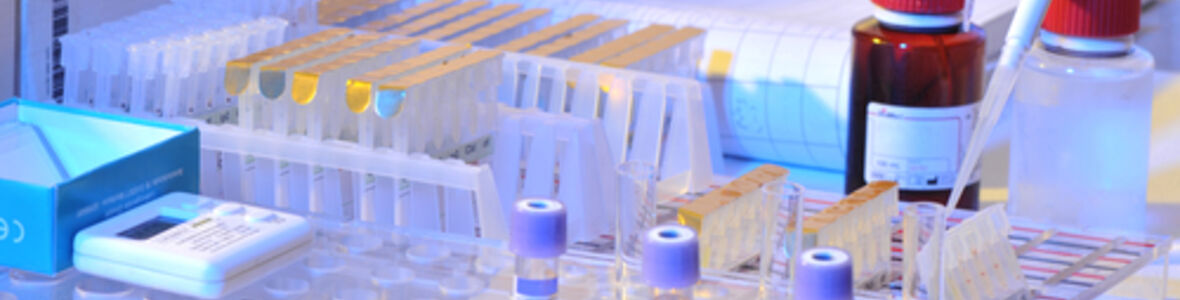 Neue Erkenntnisse über Reaktionen des Immunsystems gegen Cytomegalovirus