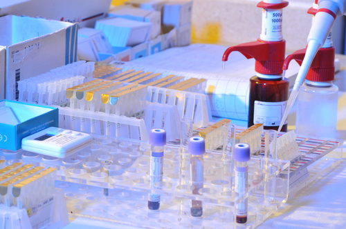 Neue Erkenntnisse über Reaktionen des Immunsystems gegen Cytomegalovirus