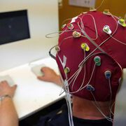 Toxoplasmose-Erreger könnte Arbeitsgedächtnis im Alter beeinträchtigen