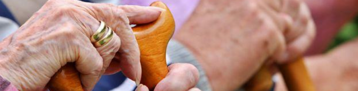 Spermidin, eine natürliche Substanz, schützt das Herz im Alter