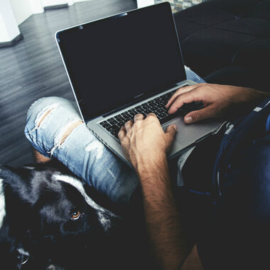 Hochwertige Gesundheitsinformationen im Internet finden - Ein Ratgeber