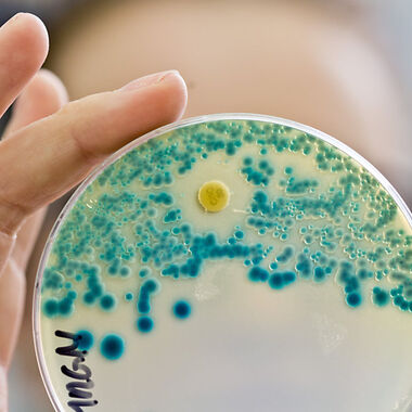Europäischer Antibiotikatag: Wachsende Zahl an Resistenzen