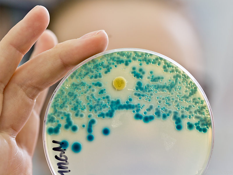 Europäischer Antibiotikatag: Wachsende Zahl an Resistenzen