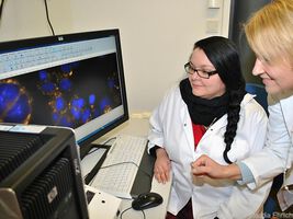 Wie Kurkumin gegen Entzündungen wirkt