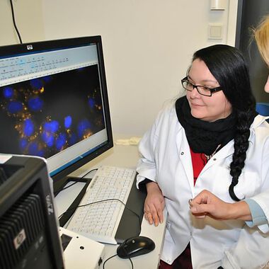 Wie Kurkumin gegen Entzündungen wirkt