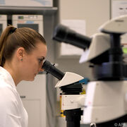 Ausschalten von bestimmtem Molekül verstärkt Multiple Sklerose
