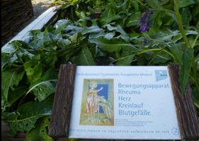 TEM - Altbewährtes mit neuem Schwung