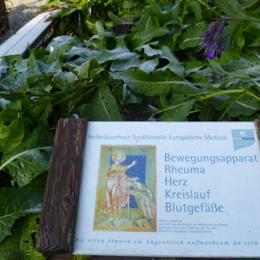 TEM - Altbewährtes mit neuem Schwung