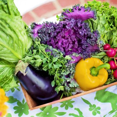 Komplementärmedizin bei Rheuma - die richtige Ernährung
