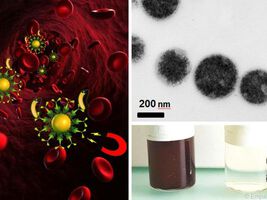 Mit Magneten gegen Blutvergiftungen