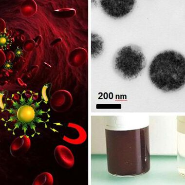Mit Magneten gegen Blutvergiftungen