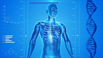 Osteoporose bei chronisch entzündlich-rheumatischen Erkrankungen