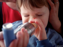 Trockener Schleim an Asthma-Entstehung beteiligt