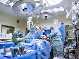 Neue Theorie zur Entstehung der Arteriosklerose